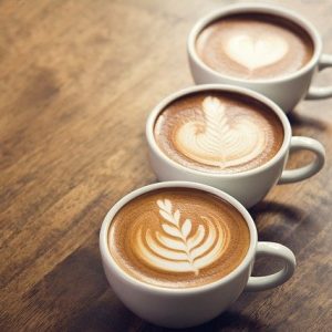 CATA DE CAFÉ